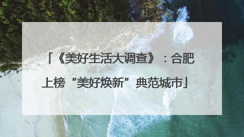 《美好生活大调查》：合肥上榜“美好焕新”典范城市