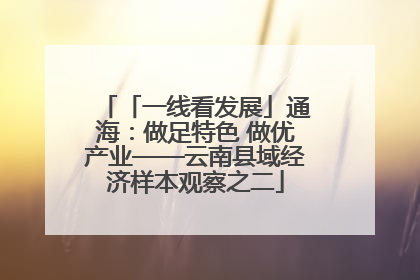 「一线看发展」通海：做足特色 做优产业——云南县域经济样本观察之二