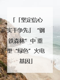 「坚定信心 实干争先」“钢铁森林”中 重塑“绿色”火电基因