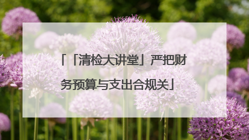 「清检大讲堂」严把财务预算与支出合规关