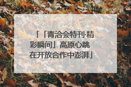 「青洽会特刊·精彩瞬间」高原心跳 在开放合作中澎湃