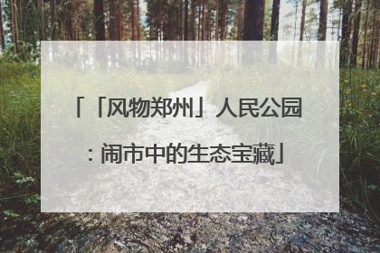 「风物郑州」人民公园：闹市中的生态宝藏