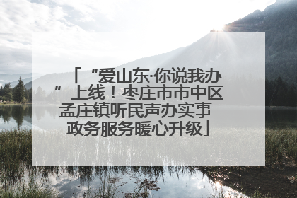 “爱山东·你说我办”上线！枣庄市市中区孟庄镇听民声办实事 政务服务暖心升级