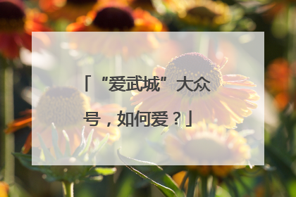 “爱武城”大众号，如何爱？