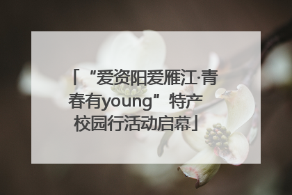 “爱资阳爱雁江·青春有young”特产校园行活动启幕