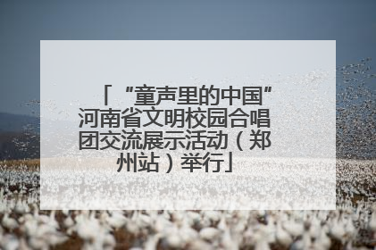 “童声里的中国”河南省文明校园合唱团交流展示活动（郑州站）举行