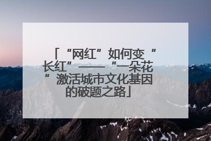 “网红”如何变“长红”——“一朵花”激活城市文化基因的破题之路