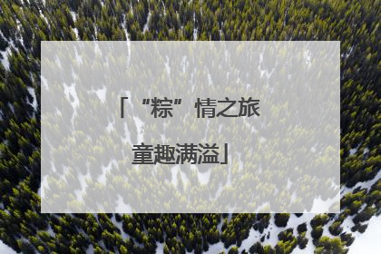 “粽”情之旅 童趣满溢