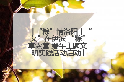 “粽”情洛阳丨“艾”在伊滨 “粽”享露营 端午主题文明实践活动启动
