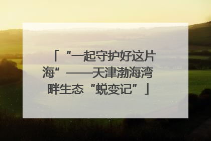 “一起守护好这片海”——天津渤海湾畔生态“蜕变记”