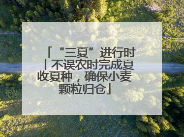 “三夏”进行时丨不误农时完成夏收夏种，确保小麦颗粒归仓