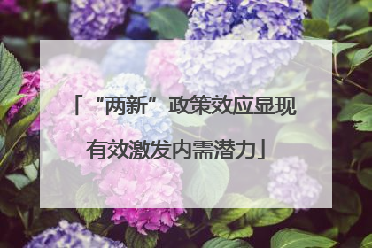 “两新”政策效应显现 有效激发内需潜力
