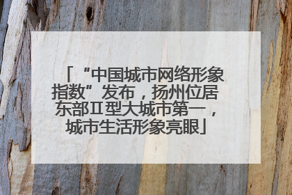 “中国城市网络形象指数”发布，扬州位居东部Ⅱ型大城市第一，城市生活形象亮眼