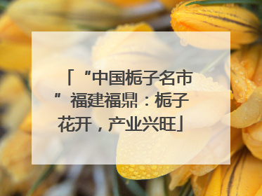 “中国栀子名市”福建福鼎：栀子花开，产业兴旺