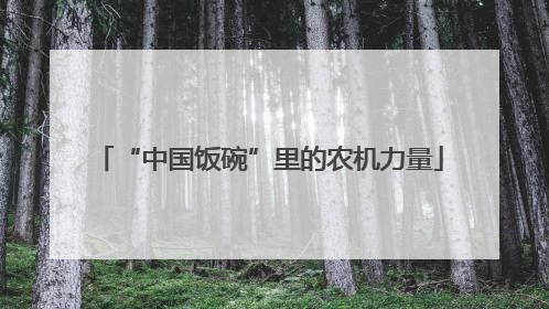 “中国饭碗”里的农机力量