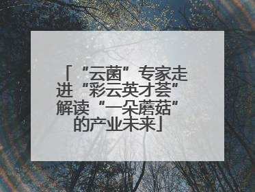 “云菌”专家走进“彩云英才荟”解读“一朵蘑菇”的产业未来