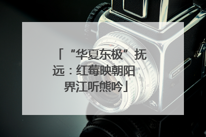 “华夏东极”抚远：红莓映朝阳 界江听熊吟