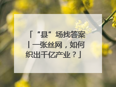 “县”场找答案丨一张丝网，如何织出千亿产业？