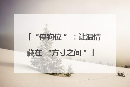 “停狗位 ”：让温情藏在 “方寸之间 ”