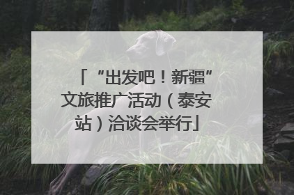 “出发吧！新疆”文旅推广活动（泰安站）洽谈会举行