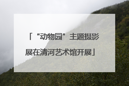 “动物园”主题摄影展在清河艺术馆开展