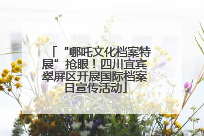 “哪吒文化档案特展”抢眼！四川宜宾翠屏区开展国际档案日宣传活动