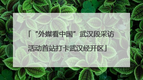 “外媒看中国”武汉段采访活动首站打卡武汉经开区