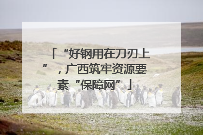 “好钢用在刀刃上”，广西筑牢资源要素“保障网”
