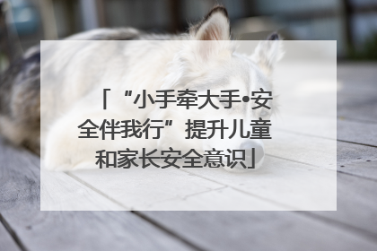 “小手牵大手•安全伴我行”提升儿童和家长安全意识