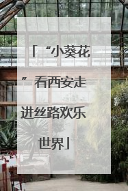 “小葵花”看西安走进丝路欢乐世界
