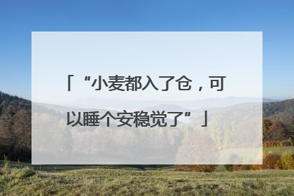 “小麦都入了仓，可以睡个安稳觉了”