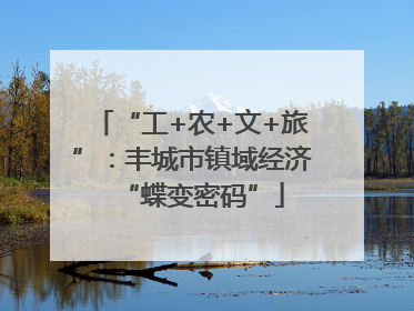 “工+农+文+旅”：丰城市镇域经济“蝶变密码”