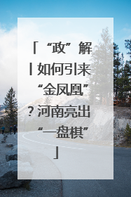 “政”解丨如何引来“金凤凰”？河南亮出“一盘棋”
