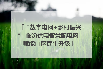“数字电网+乡村振兴” 临汾供电智慧配电网赋能山区民生升级