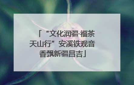 “文化润疆·福茶天山行”安溪铁观音香飘新疆昌吉