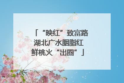 “映红”致富路 湖北广水胭脂红鲜桃火“出圈”