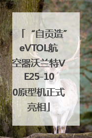 “自贡造”eVTOL航空器沃兰特VE25-100原型机正式亮相