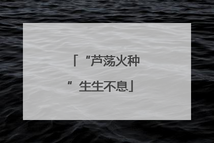 “芦荡火种”生生不息