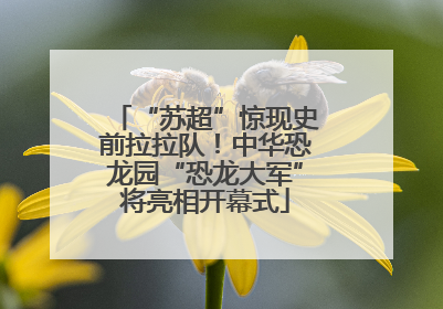 “苏超”惊现史前拉拉队！中华恐龙园“恐龙大军”将亮相开幕式