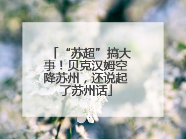 “苏超”搞大事！贝克汉姆空降苏州，还说起了苏州话