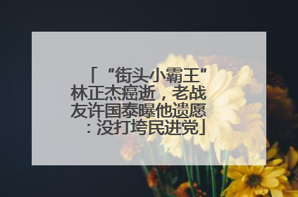 “街头小霸王”林正杰癌逝，老战友许国泰曝他遗愿：没打垮民进党