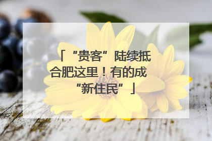 “贵客”陆续抵合肥这里！有的成“新住民”