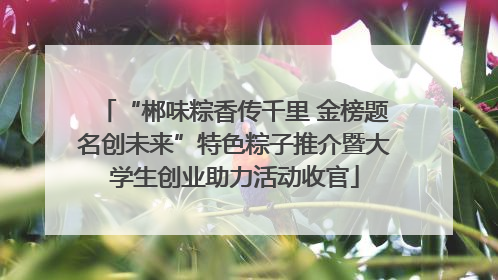 “郴味粽香传千里 金榜题名创未来”特色粽子推介暨大学生创业助力活动收官