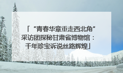 “青春华章重走西北角”采访团探秘甘肃省博物馆：千年珍宝诉说丝路辉煌