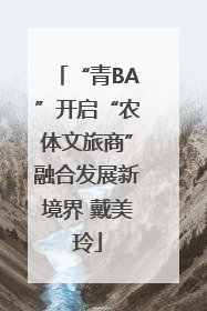 “青BA”开启“农体文旅商”融合发展新境界 戴美玲