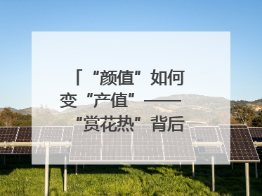 “颜值”如何变“产值”——“赏花热”背后的产业图谱