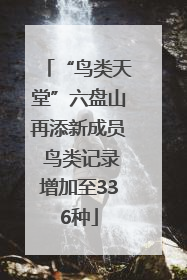 “鸟类天堂”六盘山再添新成员 鸟类记录增加至336种