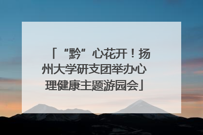 “黔”心花开！扬州大学研支团举办心理健康主题游园会
