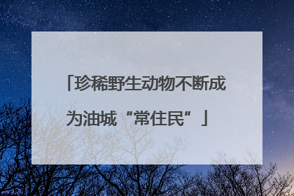 珍稀野生动物不断成为油城“常住民”
