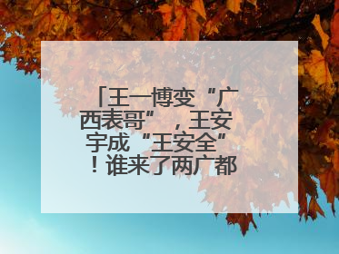 王一博变“广西表哥”，王安宇成“王安全”！谁来了两广都得“腌入味”